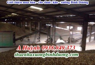 Báo giá cho thuê nhà xưởng làm gỗ Thuận An Bình Dương, LH A Kim 0981595795