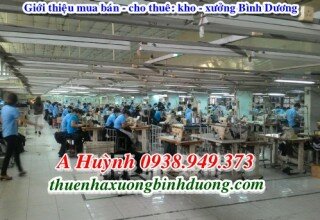 Báo giá cho thuê nhà xưởng làm may Thuận An Bình Dương, LH A Kim 0981595795