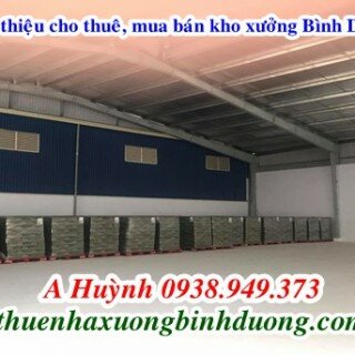 Cho thuê kho xưởng QL13 An Thạnh Thuận An Bình Dương 1000m, LH 0981595795