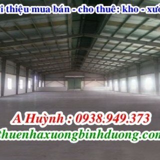 Cho thuê kho xưởng tại An Phú Thuận An Bình Dương 2250m giá 100 triệu