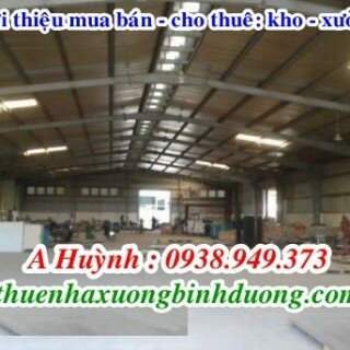 Cho thuê nhà xưởng trong khu công nghiệp Sóng Thần 3 Thủ Dầu Một Bình Dương 3200m, LH 0981595795