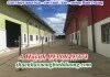 Nhà xưởng ở khu công nghiệp Khánh Bình cho thuê, 10.800m2, LH 0981595795