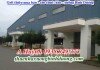 Nhà xưởng ở khu công nghiệp Mỹ Phước cho thuê, 10.800m2, LH 0981595795
