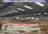 Nhà xưởng ở Mỹ Phước, Bến Cát cho thuê, 10.400m2, LH A Kim 0981595795