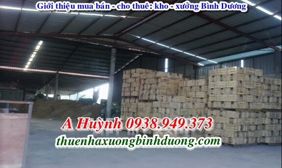 Cho Thuê Nhà Xưởng Thủ Dầu Một Bình Dương 2