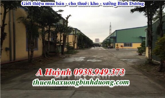 Bán nhà xưởng Bình Dương 5