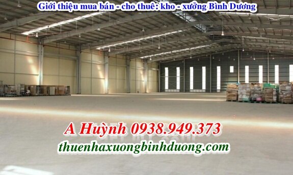 Cho Thuê Nhà Xưởng Thủ Dầu Một Bình Dương 3