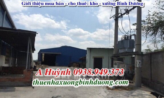 thuê xưởng Bến Cát Bình Dương 4