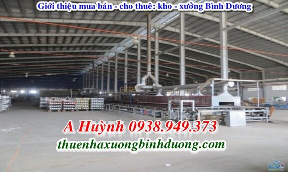 Cho Thuê Nhà Xưởng Thủ Dầu Một Bình Dương 6