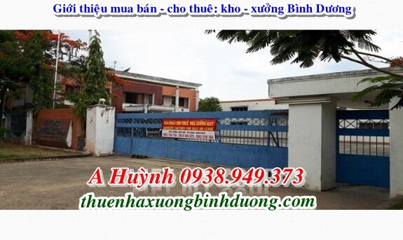 Cho Thuê Nhà Xưởng Thủ Dầu Một Bình Dương 1