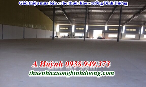 Cho Thuê Nhà Xưởng Thủ Dầu Một Bình Dương 4