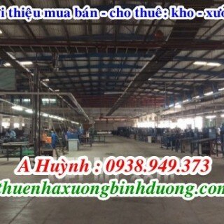 Bán nhà xưởng tại An Phú Thuận An Bình Dương 2900m, LH 0981.595.795