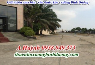 Báo giá cho thuê nhà xưởng Thuận An Bình Dương làm thực phẩm, LH A Kim 0981595795
