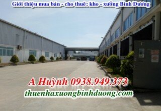 Báo Giá Cho Thuê Xưởng ở Thuận An Bình Dương