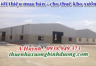 Cho thuê 2 nhà xưởng mới xây dựng trong KCN Sóng Thần 3 Bình Dương, LH A Kim 0981595795