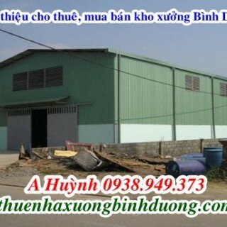 Cho thuê kho tại Vĩnh Phú Thuận An Bình Dương 800m giá 45 triệu