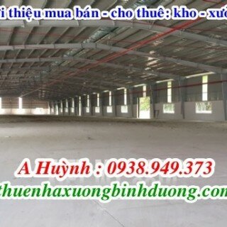 Cho thuê kho xưởng KCN Kim Huy, TP. Thủ Dầu Một, Bình Dương 4.000m2.