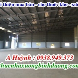 Cho thuê kho xưởng tại Bình Chuẩn Thuận An Bình Dương 1700m, LH 0981.595.795