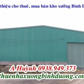 Cho thuê kho xưởng tại Phú Hòa Thủ Dầu Một 1100m giá 50 triệu