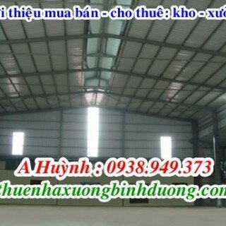 Cho thuê kho xưởng tại Phú Tân Thủ Dầu Một 800m giá 28 triệu
