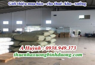 Cho thuê nhà xưởng ở tại Thuận An Bình Dương, LH 0981.595.795 Mr Kim