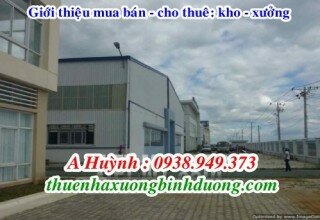 Cho thuê 10 nhà xưởng 3000m2 mới xây dựng tại KCN Nam Tân Uyên, Bình Dương, LH 0981.595.795 Mr Kim