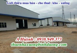 Cho thuê nhà xưởng Tân Phước Khánh, Bình Dương, LH 0981.595.795 Mr Kim