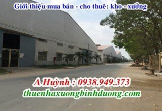 Cho thuê nhà xưởng 13,000m2 mới xây dựng trong KCN Nam Tân Uyên, Bình Dương, LH 0981595795 A Kim