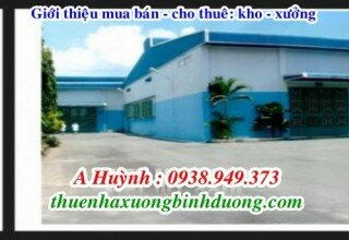 Cho thuê xưởng 6000m2 tại Bình Hòa Thuận An Bình Dương, Giá 290 triệu/tháng, LH 0981.595.795 Mr Kim