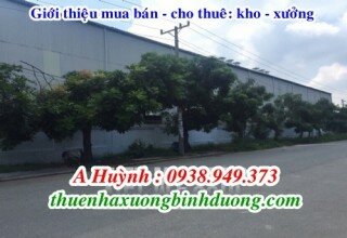Cho thuê xưởng Tân Phước Khánh, Bình Dương, LH 0981.595.795 Mr Kim