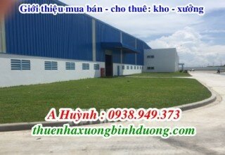 Kho xưởng cho thuê 14,000m2 mới xây dựng trong KCN Nam Tân Uyên, Bình Dương, LH 0981595795 A Kim