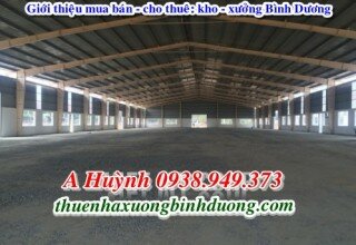 Nhà xưởng khu công nghiệp Đồng An 2 cho thuê, 9.600m2, LH 0981595795
