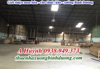 Nhà xưởng khu công nghiệp Kim Huy cho thuê, 9.800m2, LH 0981595795