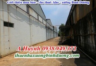 Xưởng tại khu công nghiệp Nam Tân Uyên cho thuê, 20.000m2, LH 0981595795